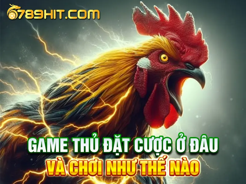 Đá Gà